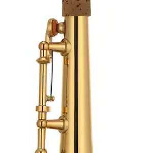 Yamaha YSS-82Z Custom Z Professional Soprano Saxophone - Gold Lacquer