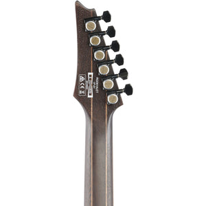 Ibanez Axion Label RGD61ALET Electric Guitar - Metallic Gray Matte