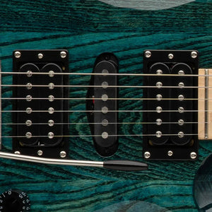 PRS SE Swamp Ash Special Electric Guitar
