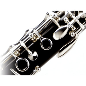 Buffet Crampon R13 Professional Bb Wood Clarinet with Nickel-plated Keys
