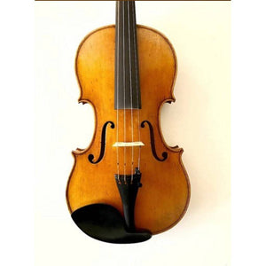 Otto Musica - 488 - 4/4 Violin Outfit