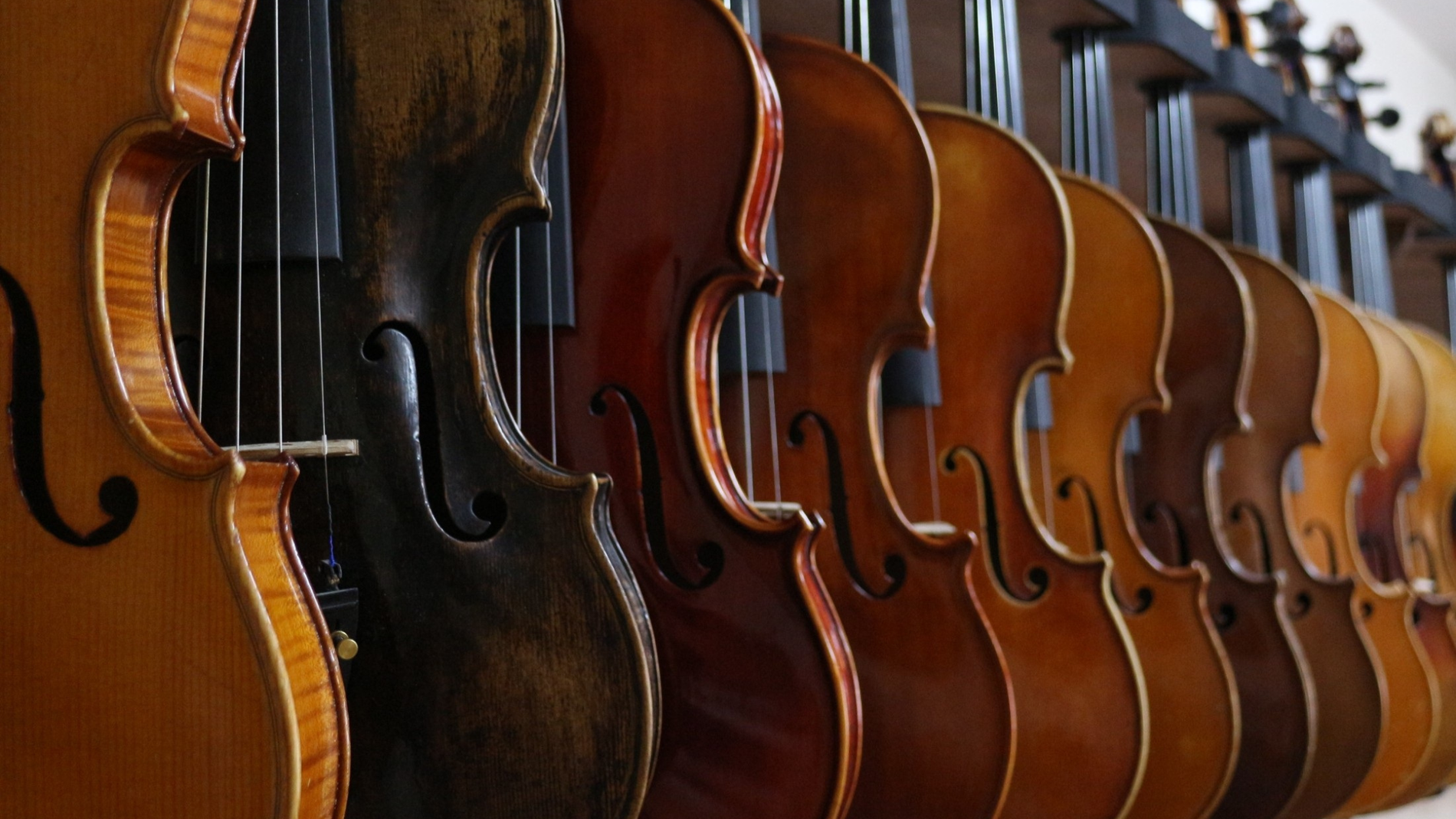 Renting vs. Buying a Student Instrument: Which Is the Better Choice?