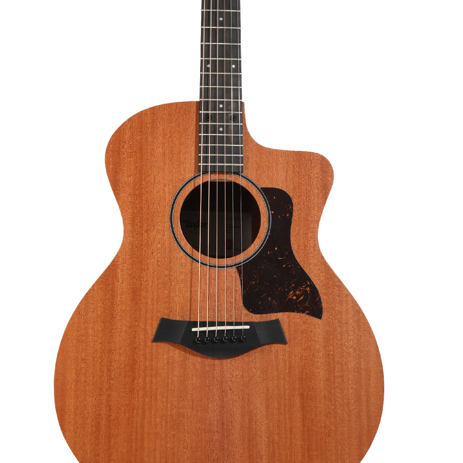 Taylor 24ce Grand Auditorium