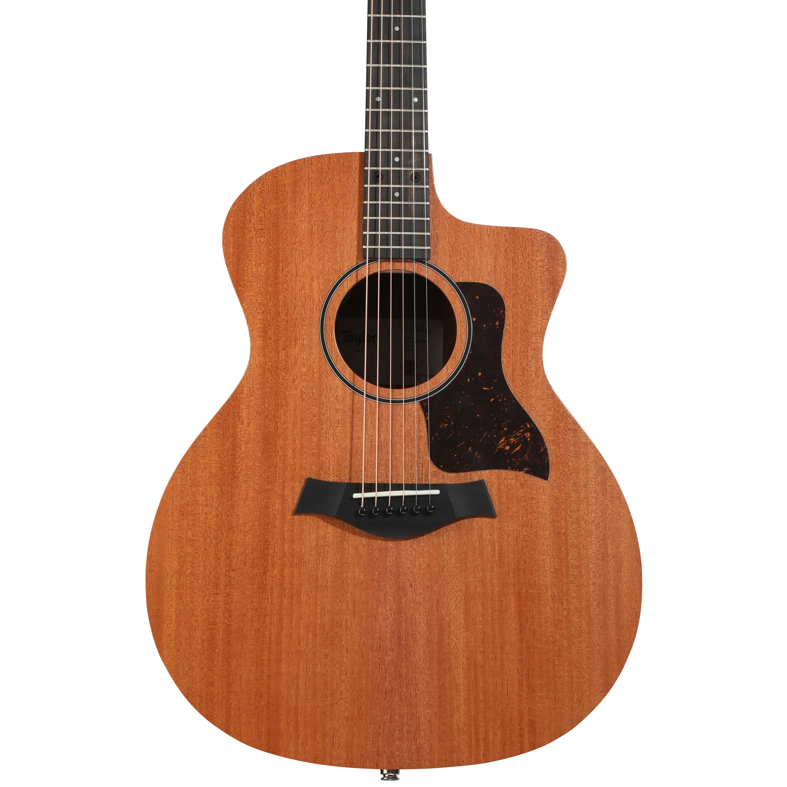 Taylor 24ce Grand Auditorium Acoustic-electric Guitar - Natural