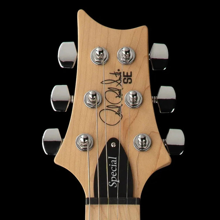 PRS SE Swamp Ash Special Electric Guitar
