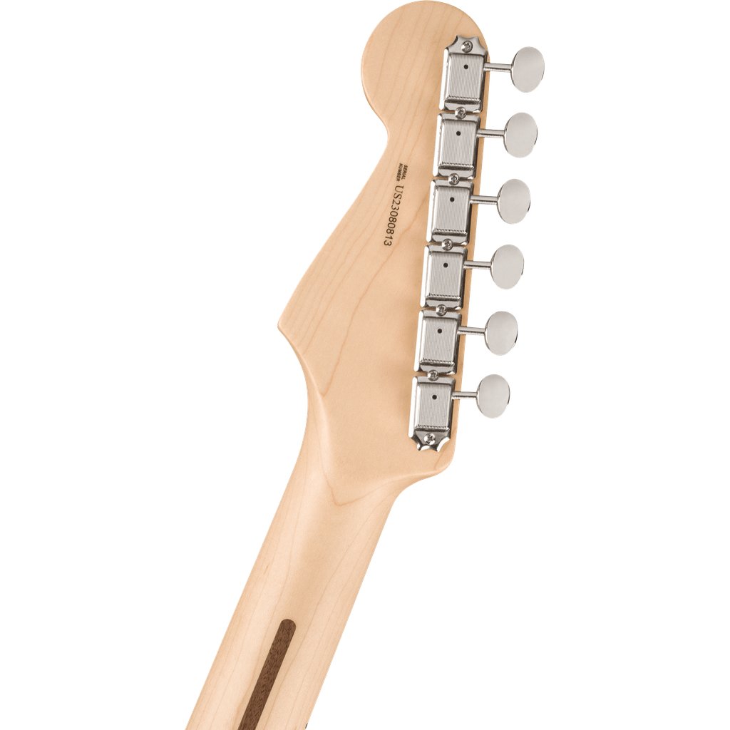 Fender Eric Clapton Stratocaster - Pewter with Maple Fingerboard