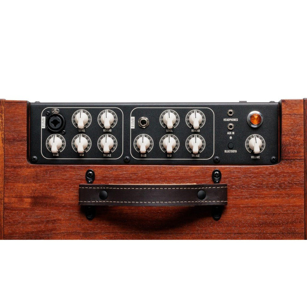 Taylor Circa 74 150-watt Acoustic Guitar and Vocal Amplifier