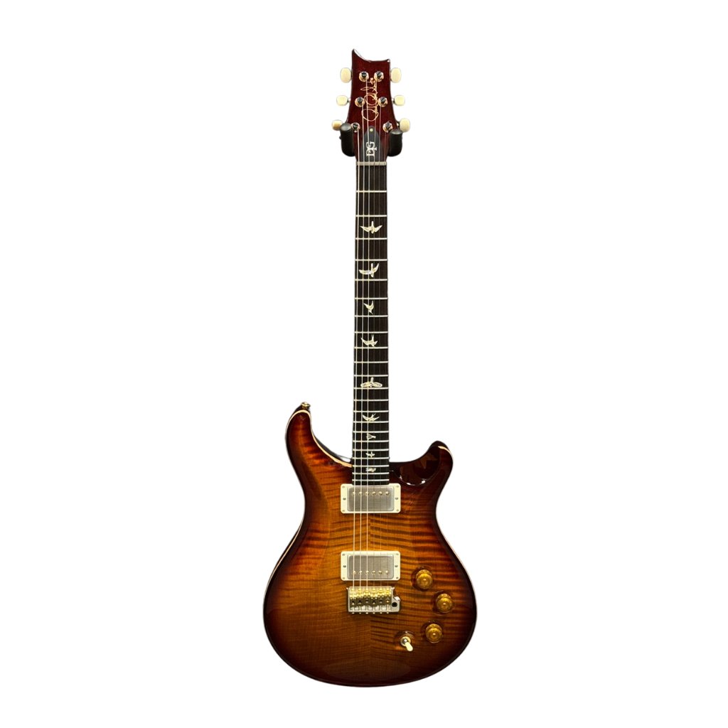 PRS DGT 10-Top Electric Guitar with Bird Inlays