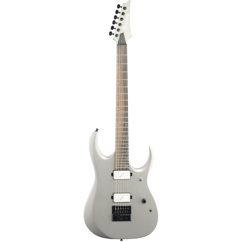 Ibanez Axion Label RGD61ALET Electric Guitar - Metallic Gray Matte