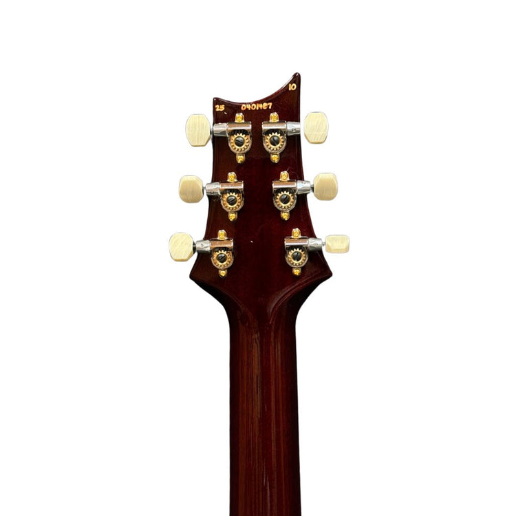 PRS DGT 10-Top Electric Guitar with Bird Inlays