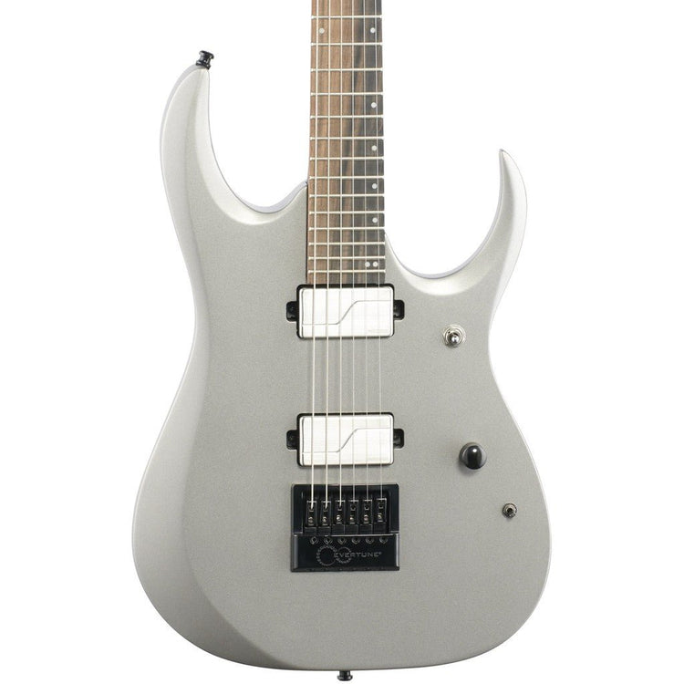Ibanez Axion Label RGD61ALET Electric Guitar - Metallic Gray Matte
