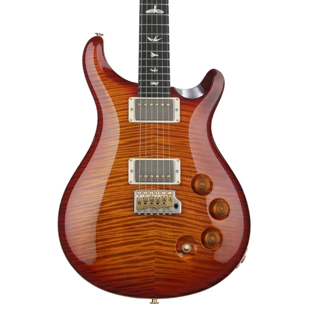 PRS DGT 10-Top Electric Guitar with Bird Inlays