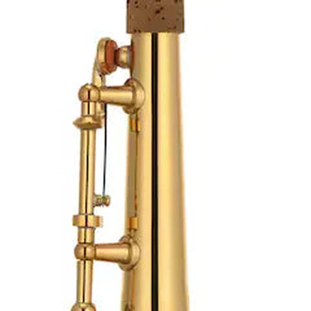 Yamaha YSS-82Z Custom Z Professional Soprano Saxophone - Gold Lacquer