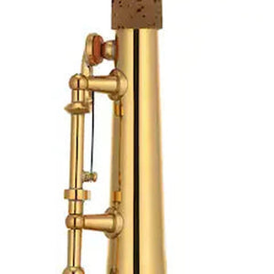 Yamaha YSS-82Z Custom Z Professional Soprano Saxophone - Gold Lacquer