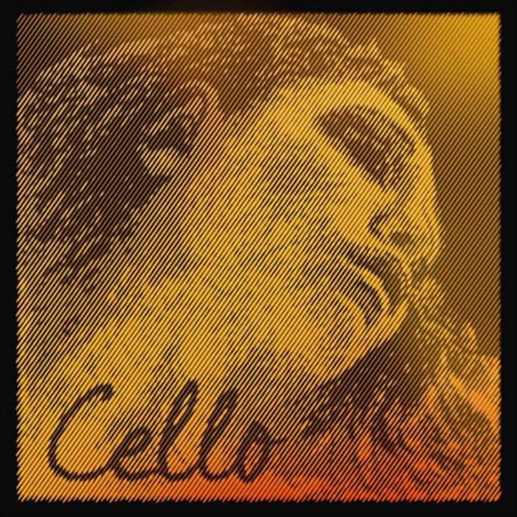 Pirastro Evah Pirazzi Gold Cello String Set