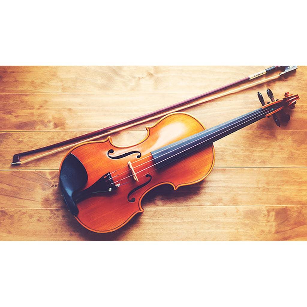 Classical Strings Brazilian Wood Student Model Violin Bow